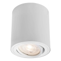 Markslöjd 109020 - LED stmievateľné bodové svietidlo DIRETTO LED/5W/230V CRI 90 biela