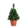 Markslojd 703971 - Vianočný stromček MAGGI LED/1,2W/3xAA zelená 70cm