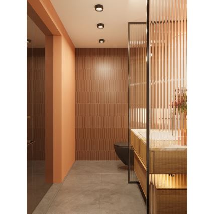 MAXLIGHT C0204 - LED Kúpeľňové stropné svietidlo KODAK LED/8W/230V pr. 10,8 cm IP44 čierna