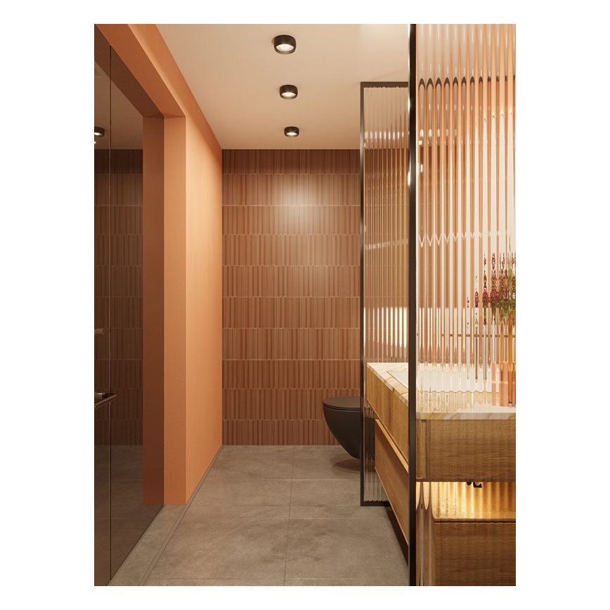 MAXLIGHT C0204 - LED Kúpeľňové stropné svietidlo KODAK LED/8W/230V pr. 10,8 cm IP44 čierna