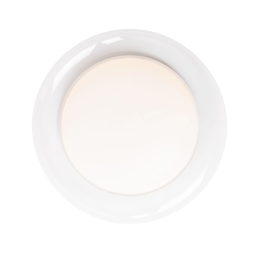 MAXLIGHT C0233 - LED Stropné svietidlo DUO LED/10W/230V pr. 34 cm biela