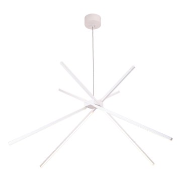 MAXLIGHT P0270 - LED Luster na lanku SPIDER LED/33W/230V biela