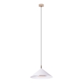 MAXLIGHT P0505 - LED Luster na lanku VULCANO LED/5W/230V pr. 30,5 cm biela
