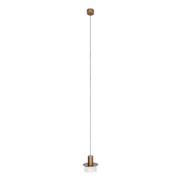 MAXLIGHT P0530 - LED Luster na lanku SIGNATURE LED/8W/230V pr. 15 cm mosadz/číra