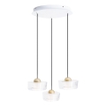 MAXLIGHT P0543 - LED Luster na lanku LIPARI LED/22W/230V pr. 35 cm číra