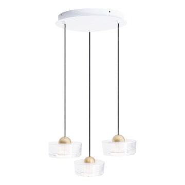MAXLIGHT P0543 - LED Luster na lanku LIPARI LED/22W/230V pr. 35 cm číra