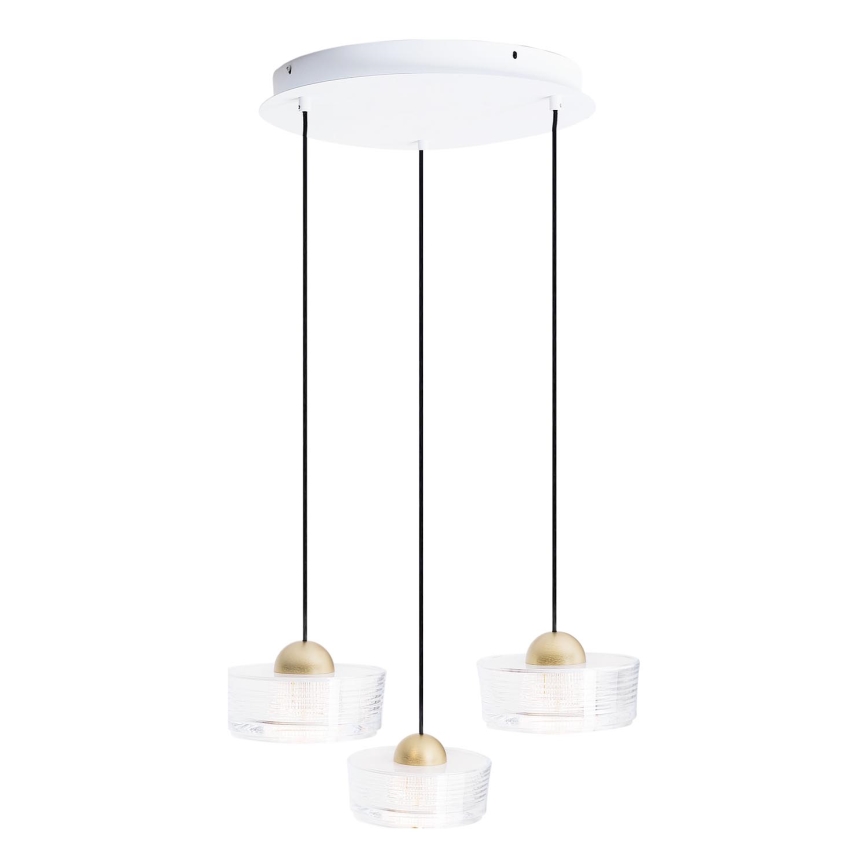 MAXLIGHT P0543 - LED Luster na lanku LIPARI LED/22W/230V pr. 35 cm číra