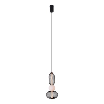 MAXLIGHT P0591 - LED Luster na lanku BORA LED/10W/230V pr. 22 cm biela/čierna