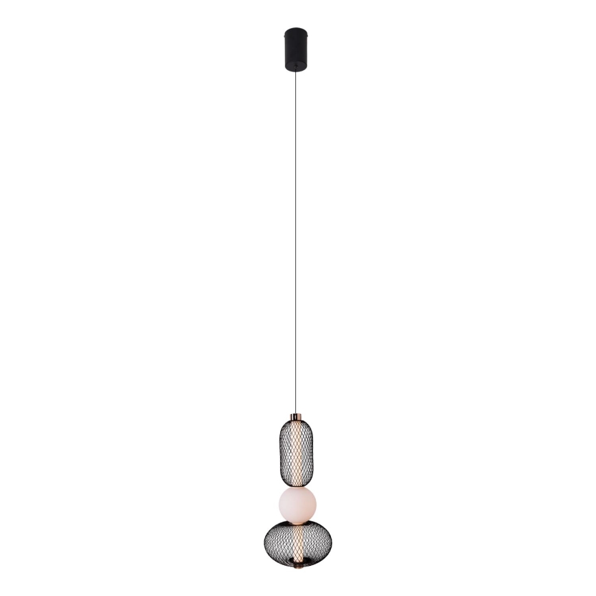 MAXLIGHT P0591 - LED Luster na lanku BORA LED/10W/230V pr. 22 cm biela/čierna