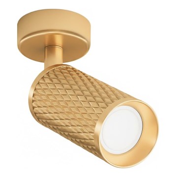 Maytoni C034CL-01G - Bodové svietidlo FOCUS 1xGU10/10W/230V zlaté