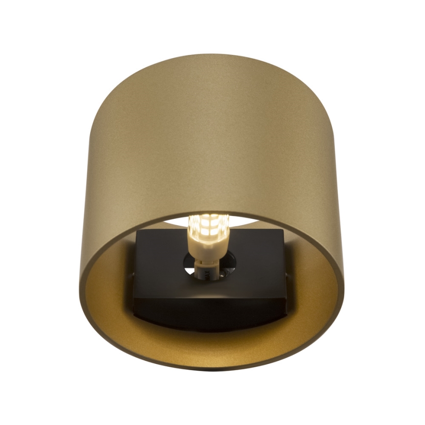 Maytoni C066WL-01MG - Nástenné svietidlo ROND 1xG9/50W/230V zlatá