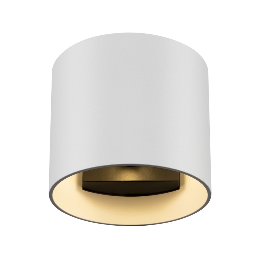 Maytoni C066WL-01W - Nástenné svietidlo ROND 1xG9/50W/230V biela