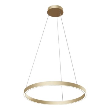 Maytoni MOD058PL-L32BS4K - LED Luster na lanku RIM LED/37W/230V 4000K pr. 60 cm zlatá