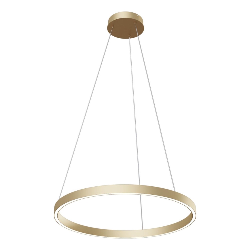 Maytoni MOD058PL-L32BS4K - LED Luster na lanku RIM LED/37W/230V 4000K pr. 60 cm zlatá