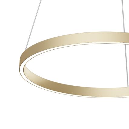 Maytoni MOD058PL-L32BS4K - LED Luster na lanku RIM LED/37W/230V 4000K pr. 60 cm zlatá
