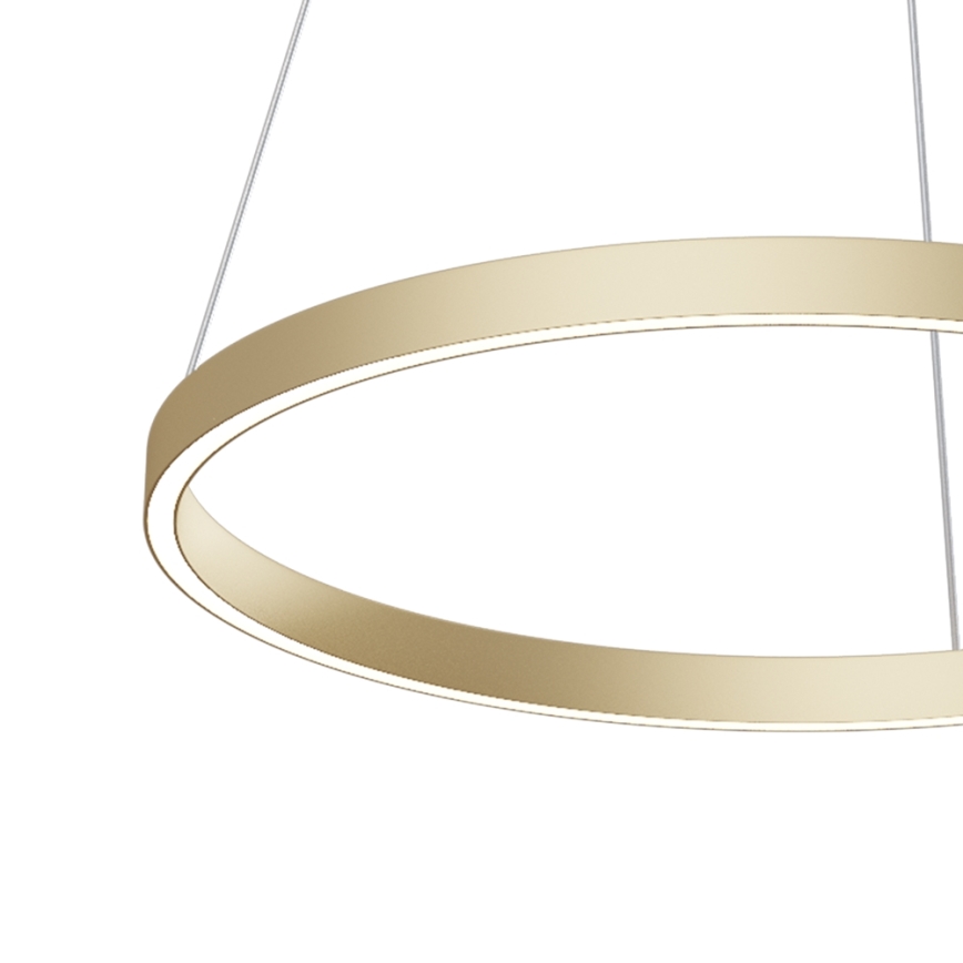 Maytoni MOD058PL-L32BS4K - LED Luster na lanku RIM LED/37W/230V 4000K pr. 60 cm zlatá