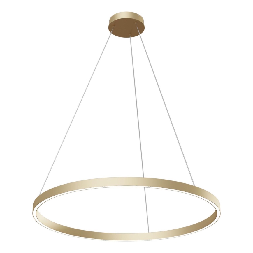 Maytoni MOD058PL-L42BS4K - LED Luster na lanku RIM LED/51W/230V 4000K pr. 80 cm zlatá