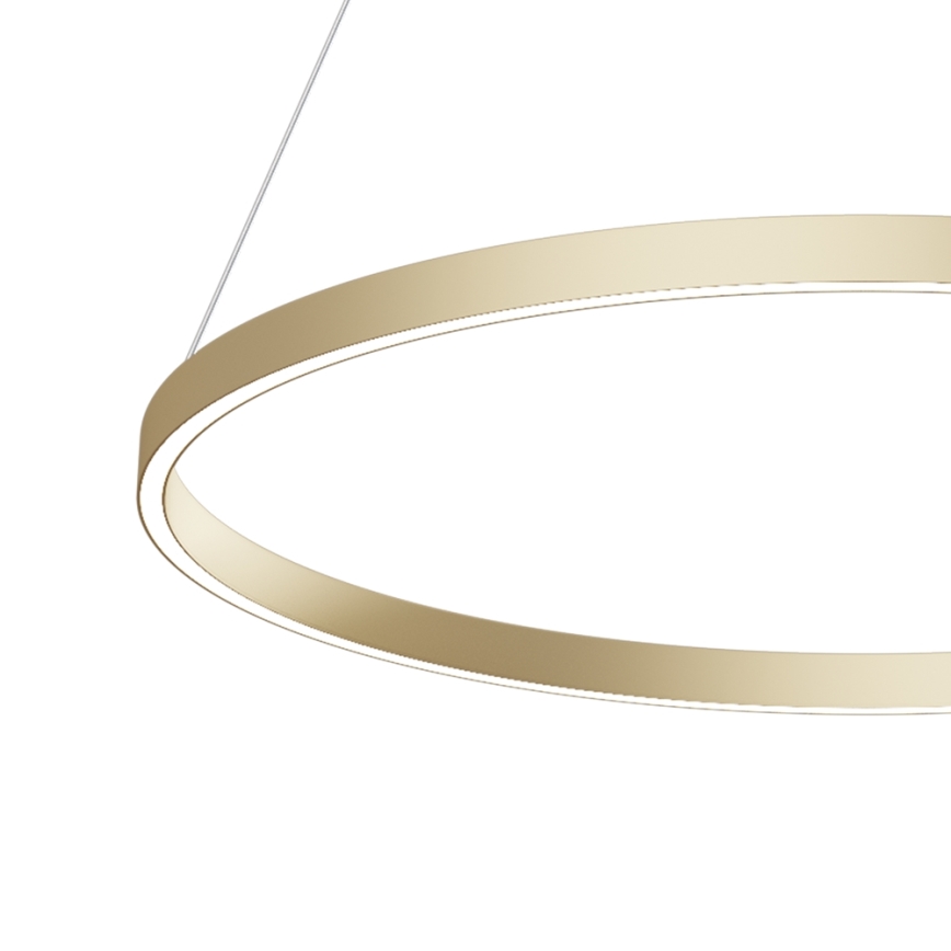 Maytoni MOD058PL-L42BS4K - LED Luster na lanku RIM LED/51W/230V 4000K pr. 80 cm zlatá