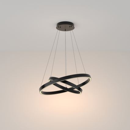 Maytoni MOD058PL-L55B3K - LED Luster na lanku RIM LED/61W/230V 3000K pr. 60 cm čierna