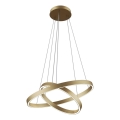 Maytoni MOD058PL-L55BS3K - LED Luster na lanku RIM LED/61W/230V 3000K pr. 60 cm zlatá