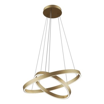 Maytoni MOD058PL-L55BS3K - LED Luster na lanku RIM LED/61W/230V 3000K pr. 60 cm zlatá