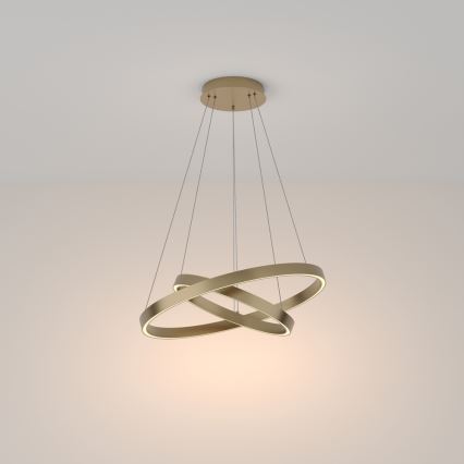 Maytoni MOD058PL-L55BS3K - LED Luster na lanku RIM LED/61W/230V 3000K pr. 60 cm zlatá