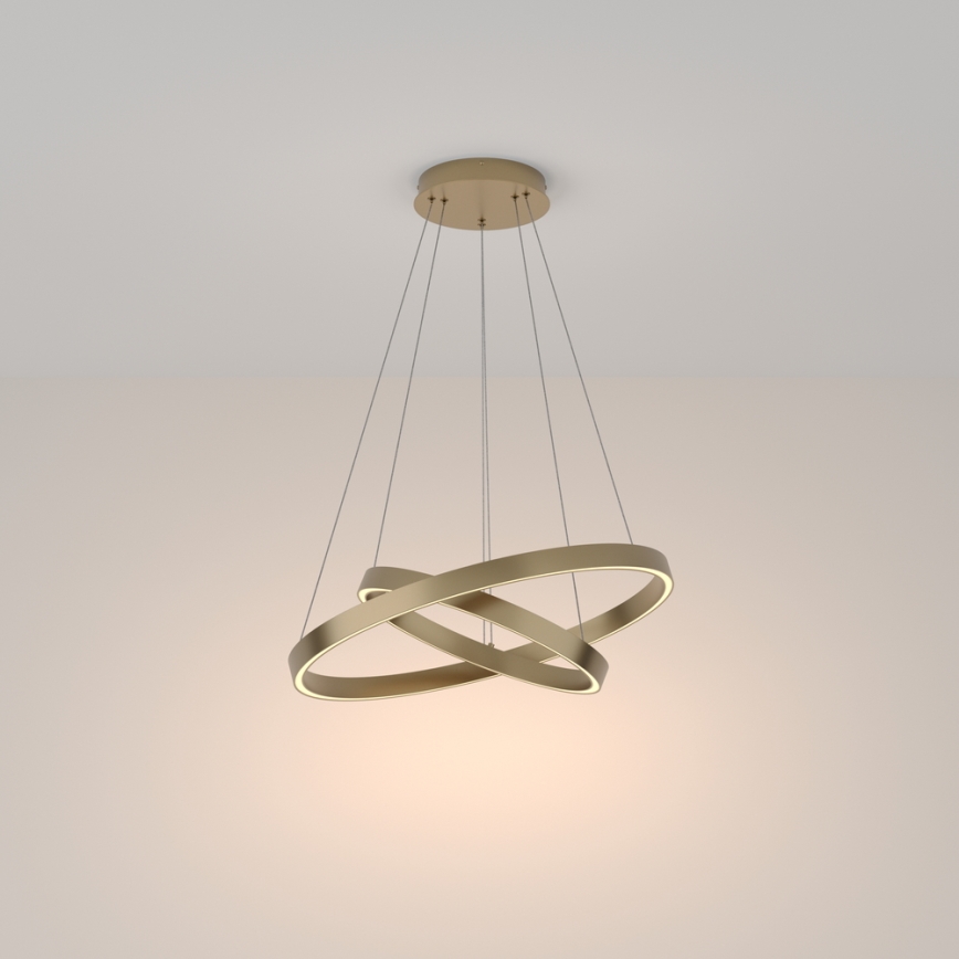 Maytoni MOD058PL-L55BS3K - LED Luster na lanku RIM LED/61W/230V 3000K pr. 60 cm zlatá