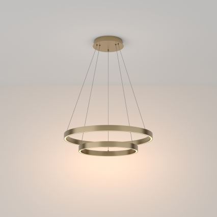 Maytoni MOD058PL-L55BS3K - LED Luster na lanku RIM LED/61W/230V 3000K pr. 60 cm zlatá