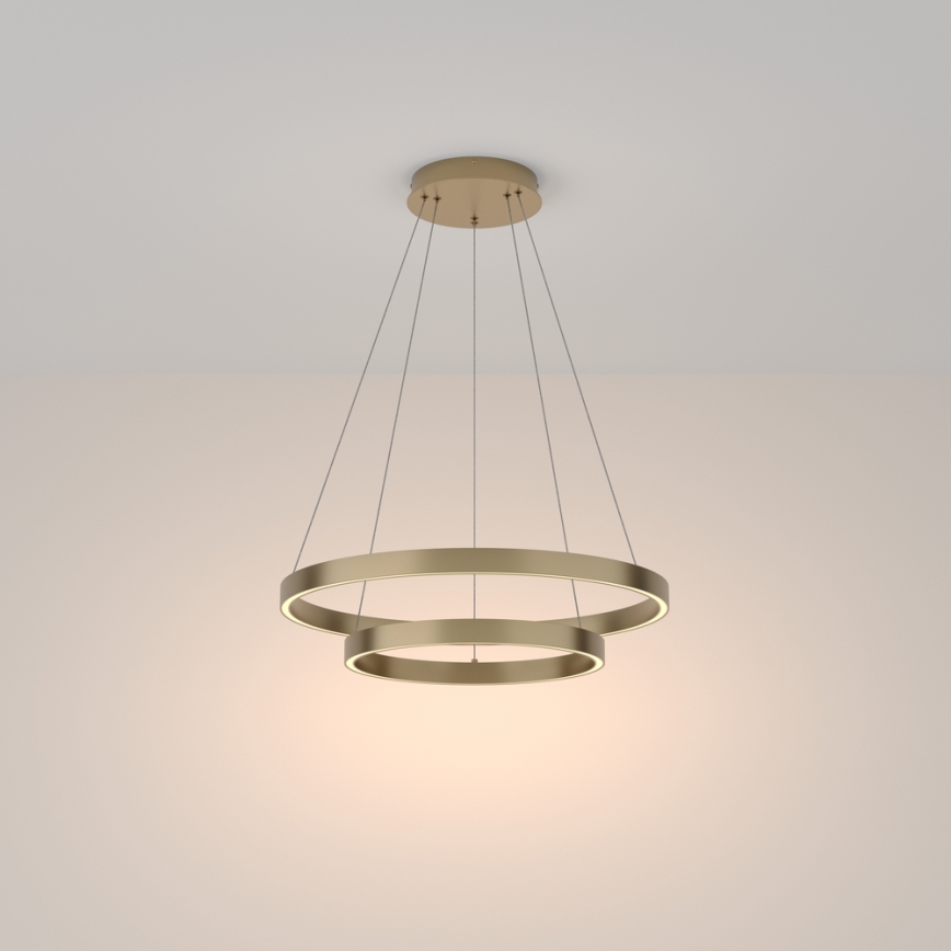 Maytoni MOD058PL-L55BS3K - LED Luster na lanku RIM LED/61W/230V 3000K pr. 60 cm zlatá