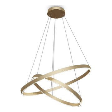 Maytoni MOD058PL-L74BS3K - LED Luster na lanku RIM LED/88W/230V 3000K pr. 80 cm zlatá