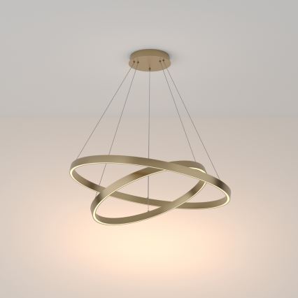 Maytoni MOD058PL-L74BS3K - LED Luster na lanku RIM LED/88W/230V 3000K pr. 80 cm zlatá