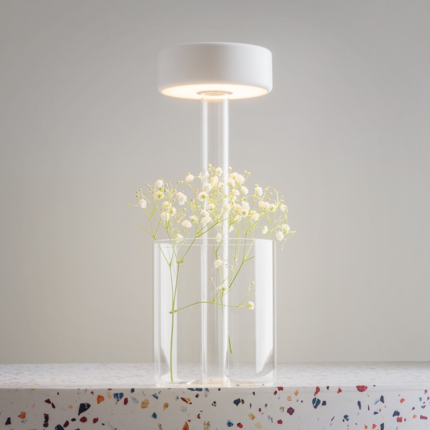 Maytoni MOD229TL-L3W3K1 - LED Stmievateľná nabíjacia prenosná stolná lampa LED/3W/5V 2200-4000K biela/číra