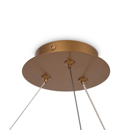 Maytoni MOD317PL-06G - Luster na lanku BALANCE 6xG9/40W/230V medená