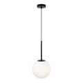 Maytoni MOD321PL-01B1 - Luster na lanku BASIC 1xE14/40W/230V čierna