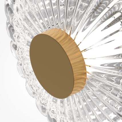 Maytoni MOD555WL-L3G3K - LED Nástenné svietidlo AMULET LED/3W/230V 3000K zlatá