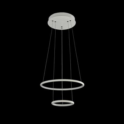 LED Luster na lanku NOLA LED/36W/230W