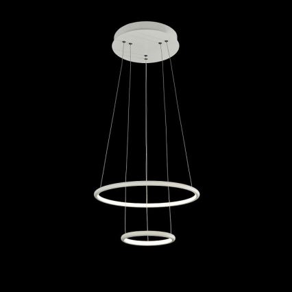 LED Luster na lanku NOLA LED/36W/230W