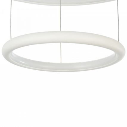 LED Luster na lanku NOLA LED/36W/230W