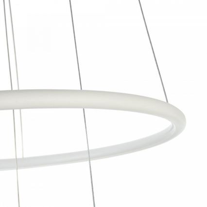 LED Luster na lanku NOLA LED/36W/230W