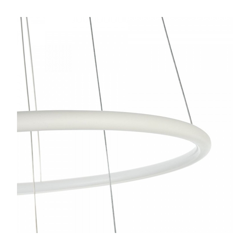 LED Luster na lanku NOLA LED/36W/230W
