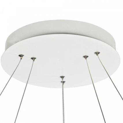 LED Luster na lanku NOLA LED/85W/230V