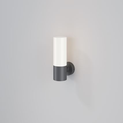 Maytoni O418WL-01GR - Vonkajšie nástenné svietidlo WILLIS 1xE27/60W/230V IP54 antracit