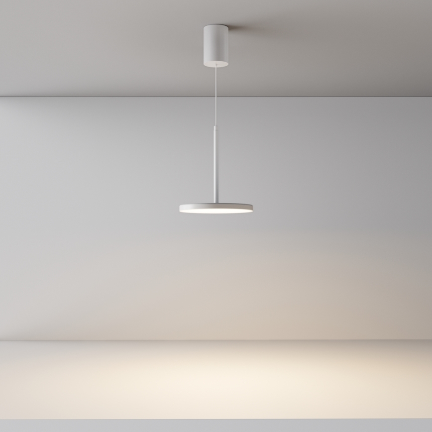 Maytoni P076PL-L12W3K-W - LED Luster na lanku PLATO LED/12W/230V 3000K biela