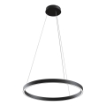 MOD058PL-L32B4K - LED Luster na lanku RIM LED/37W/230V 4000K pr. 60 cm čierna