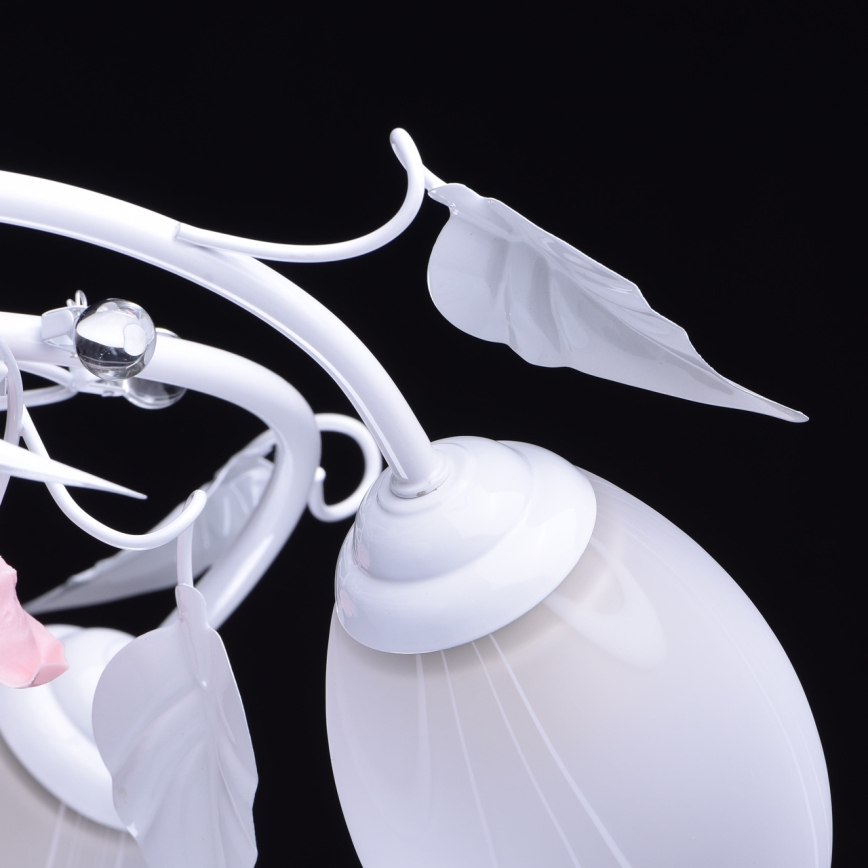 MW-LIGHT - Luster prisadený PROVENCE 5xE27/60W/230V