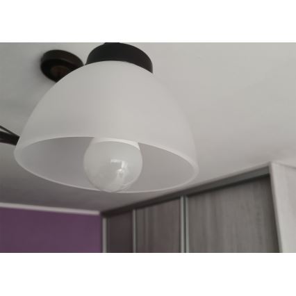 Náhradné mliečne sklo pre luster s päticou E27, priemer 18 cm