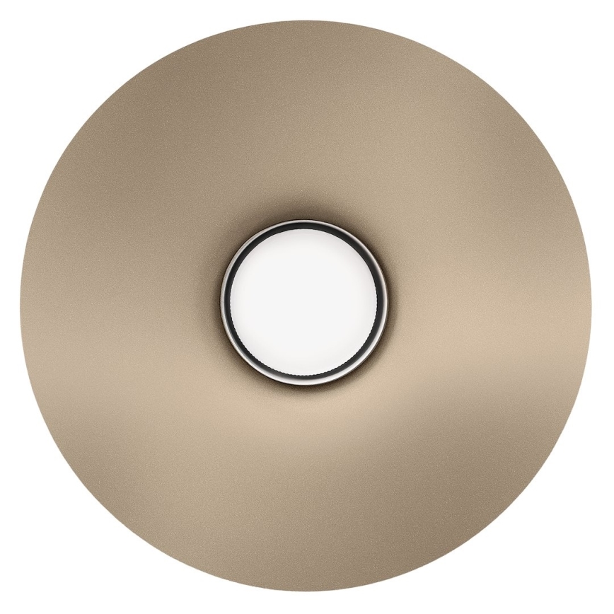 Nástenná lampa CAPITAL 1xGX53/15W/230V hnedosivá