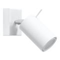 Nástenné bodové svietidlo RING 1xGU10/10W/230V biela
