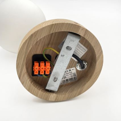 Nástenné svietidlo ANTONIO 1xG9/5W/230V dub/biela