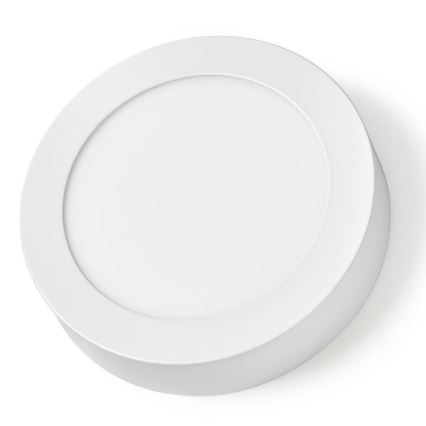 LED Stmievateľné stropné svietidlo LED/12W/230V Wifi